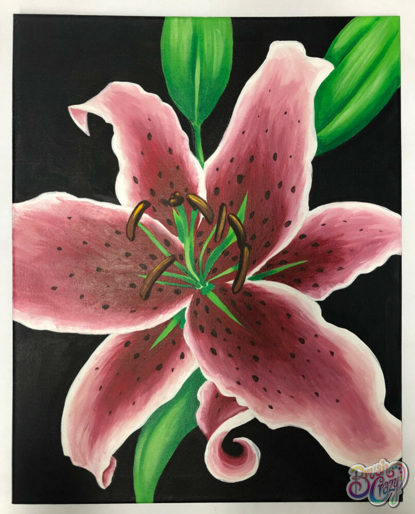 Stargazer Lily