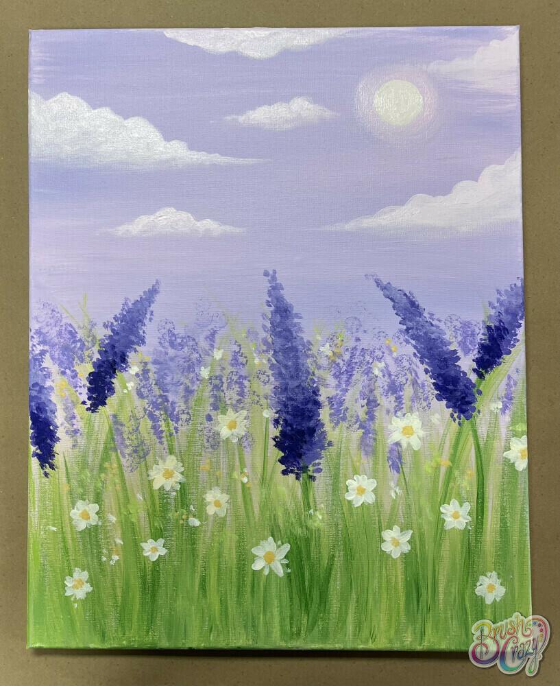 Lavender fields