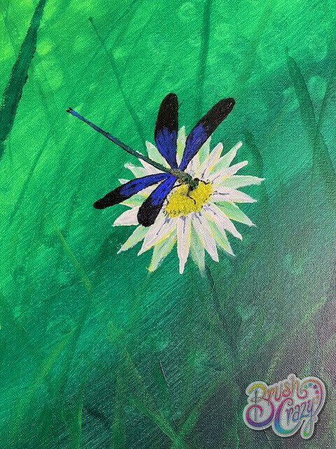 Daisy Dragonfly