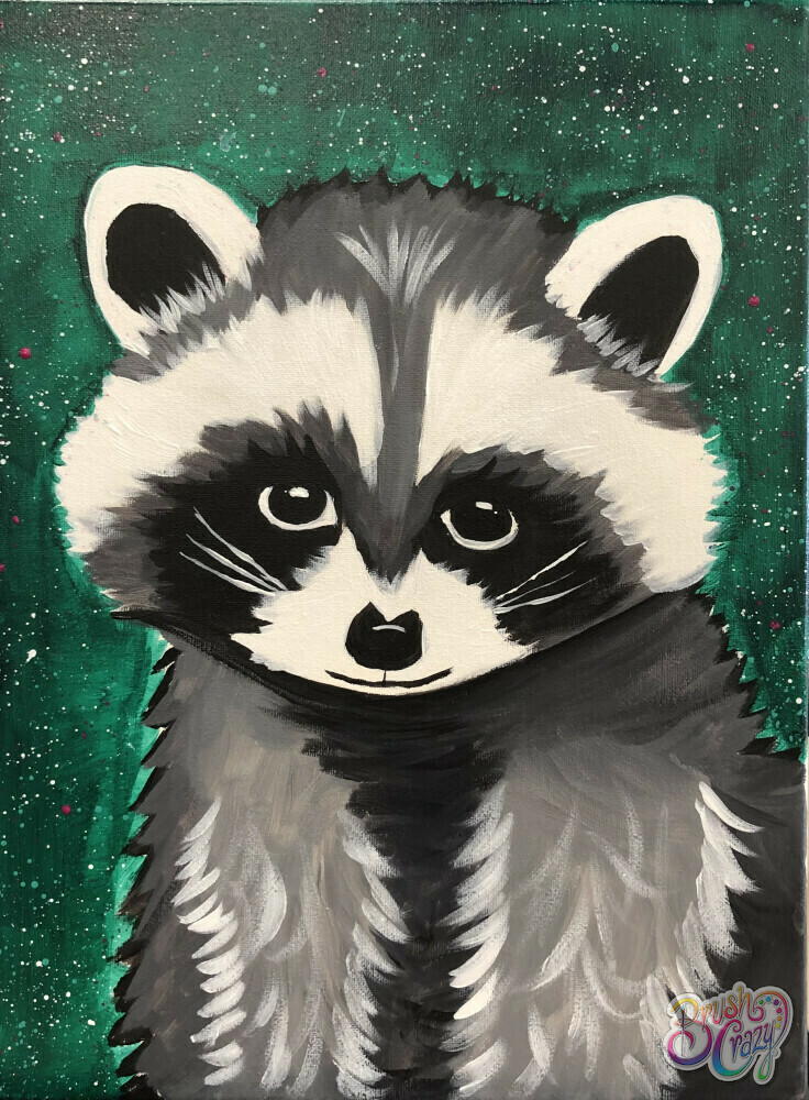 Raccoon