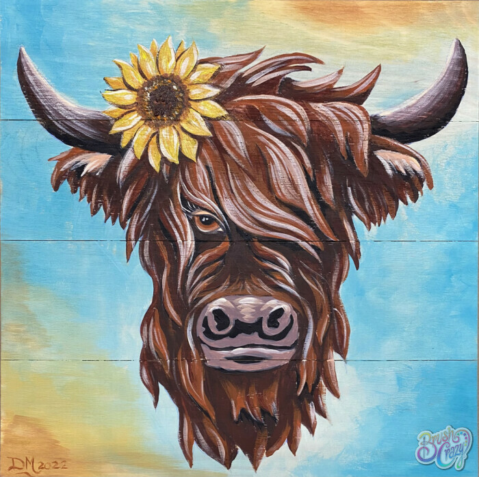 Highland Cow