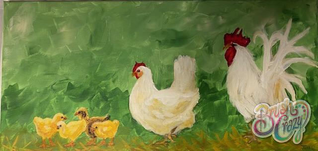 Chicken Chicks &amp; Rooster