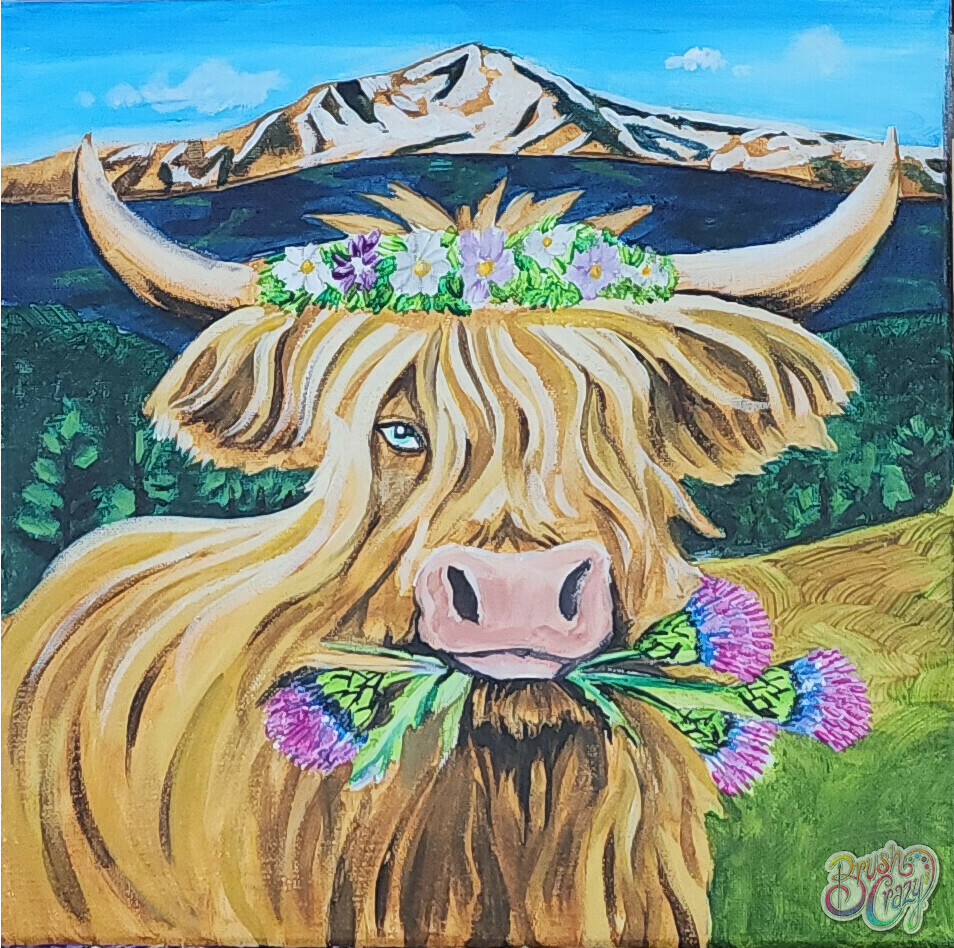 #1377 - Hairy Highland Cow